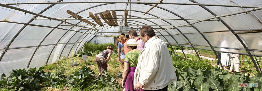 Rencontre interrelieuse organisée par le CLIMS au jardin Yokonoen de Mahikari - mai 2013